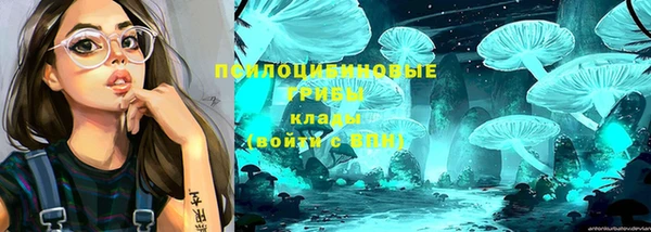 сатива Алексеевка