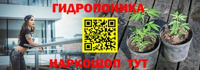 шишки Ипатово